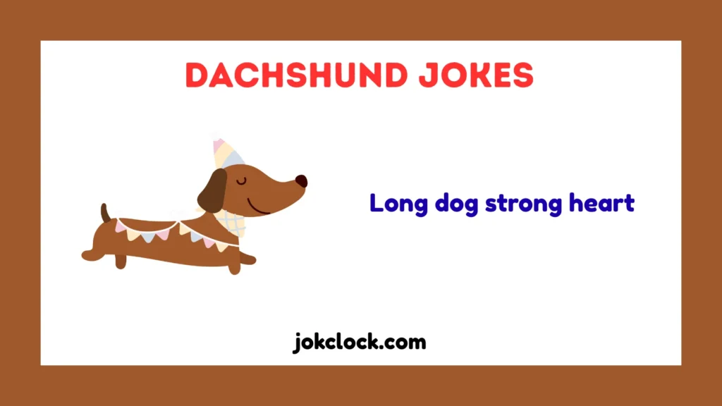 Dachshund Jokes