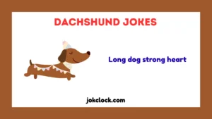 Dachshund Jokes