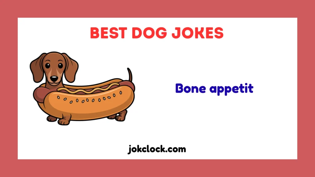 Best Dog Jokes