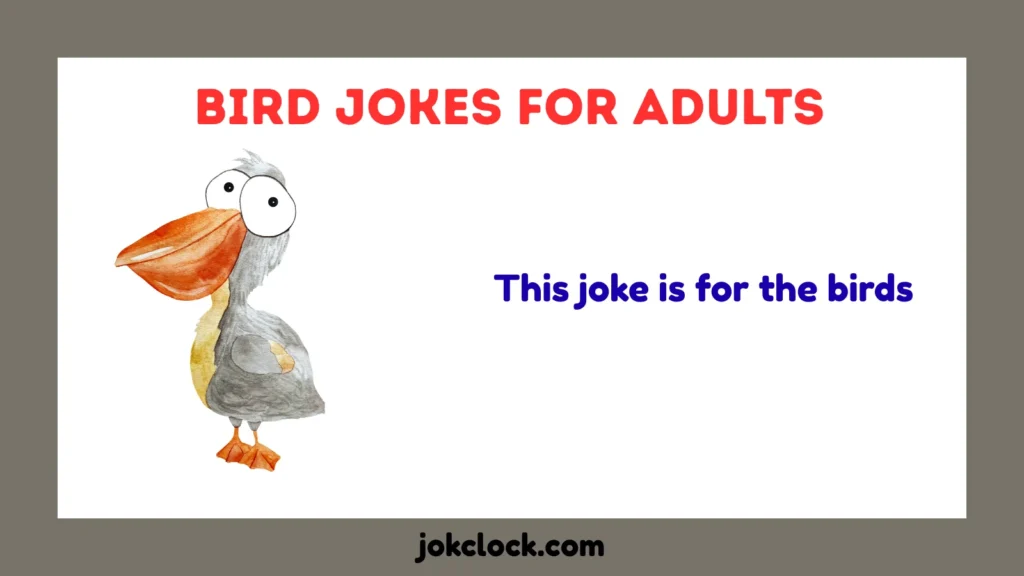 Bird Jokes for Adults