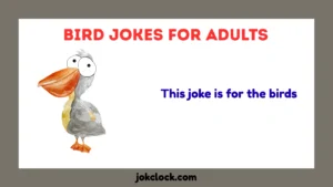 Bird Jokes for Adults