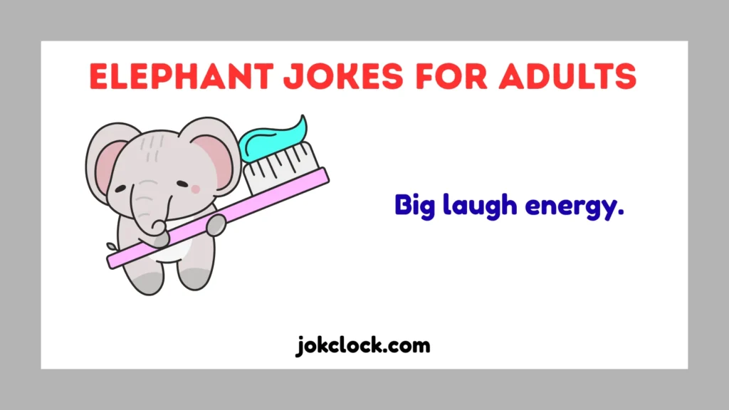 Elephant Jokes for Adults