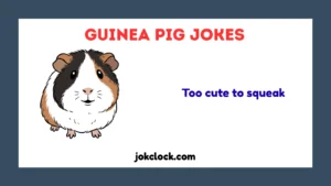 Guinea Pig Jokes