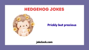 Hedgehog Jokes
