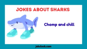 Jokes About Sharks