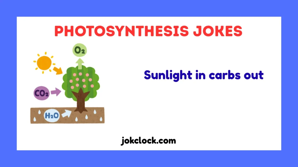 Photosynthesis Jokes
