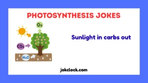 Photosynthesis Jokes