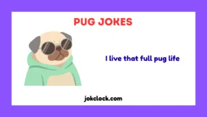 Pug Jokes