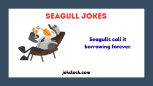 Seagull Jokes
