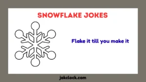 Snowflake Jokes