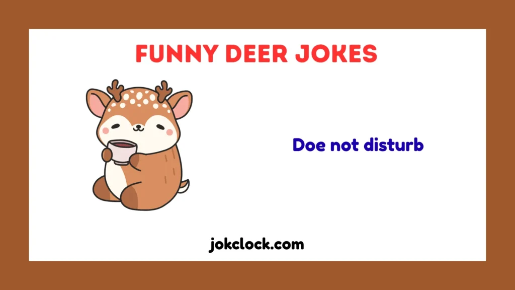Funny Deer Jokes