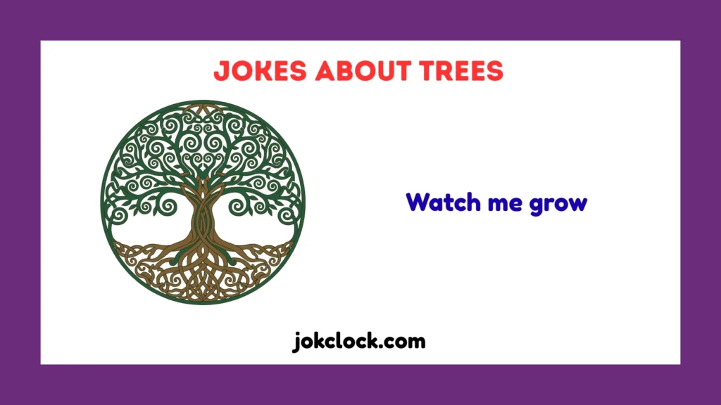 jokes about trees