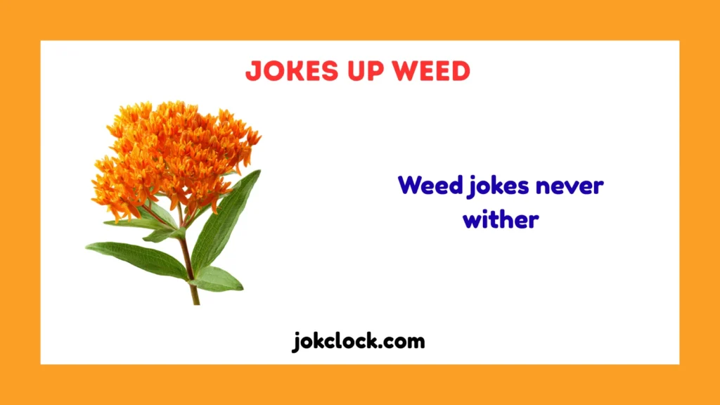 Jokes Up Weed
