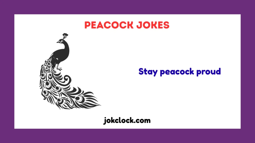 peacock jokes