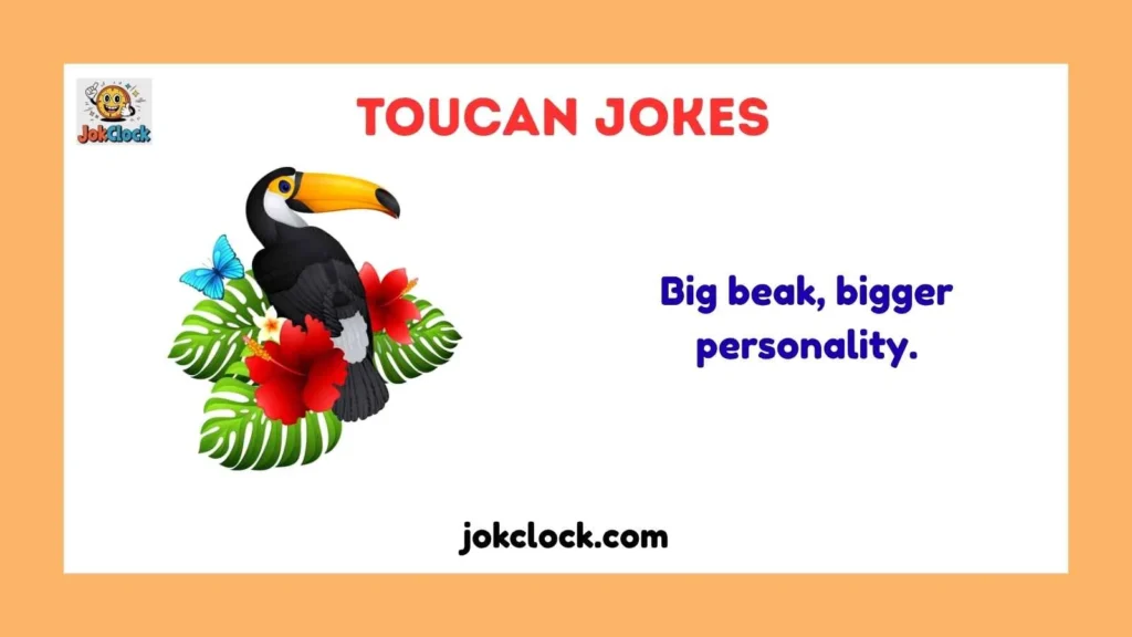 Short Toucan Jokes