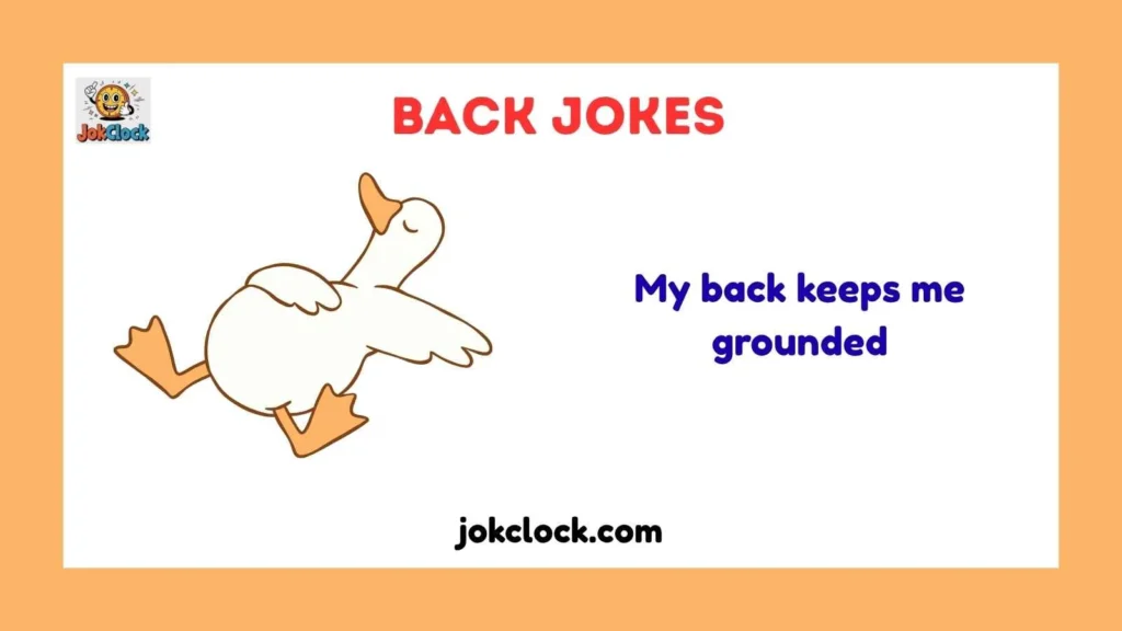Snappy Back One-Liner Jokes