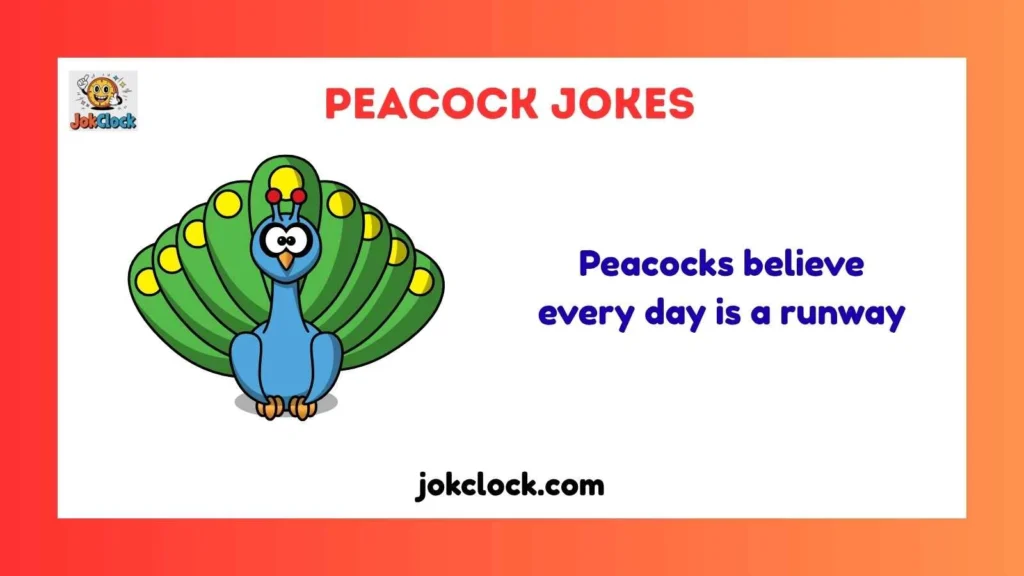 Snappy Peacock One-Liner Jokes
