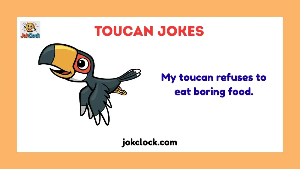 Toucan Jokes in English