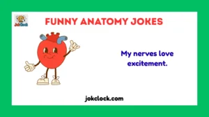 funny anatomy jokes