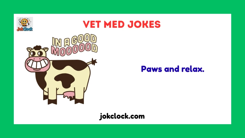vet med jokes