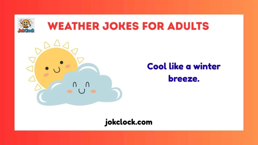 Silly, Sassy & Bold Weather Puns